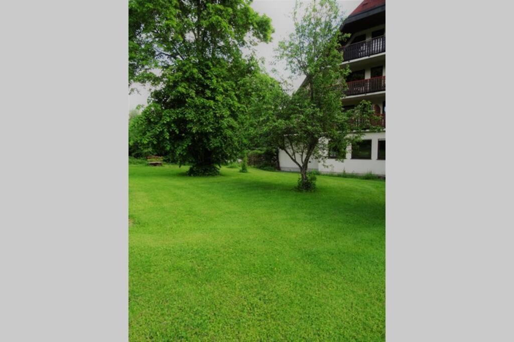 Modernes Apartment Mit Traumhaftem Blick Ins Gruene Braunlingen Ngoại thất bức ảnh